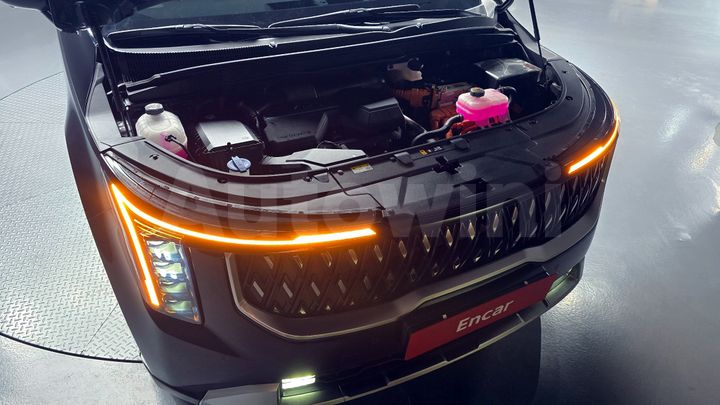 Kia Carnival 2025 — 5