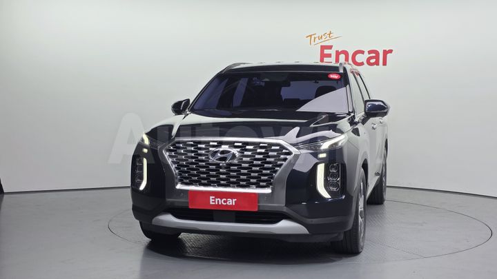 Hyundai Palisade 2019 — 3