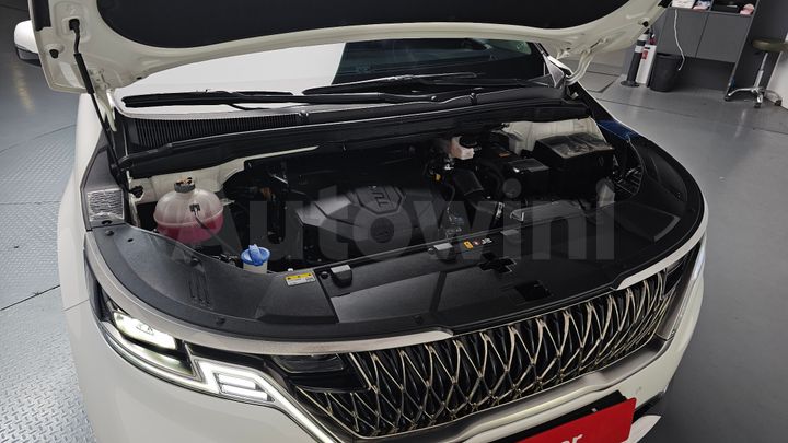 Kia Carnival 2023 — 5