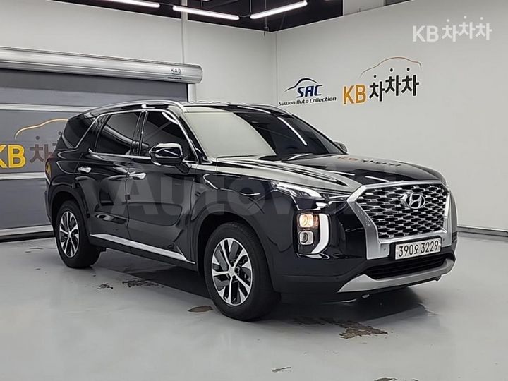 Hyundai Palisade 2020 — 4