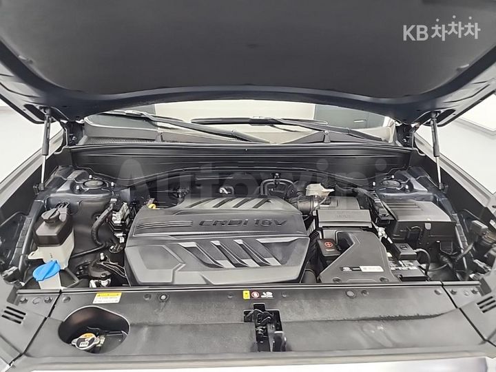 Hyundai Palisade 2020 — 5