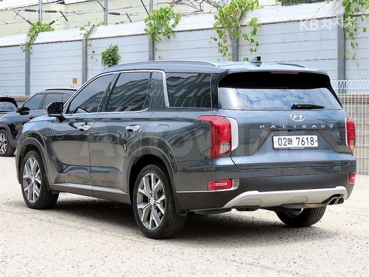 Hyundai Palisade 2019 — 3