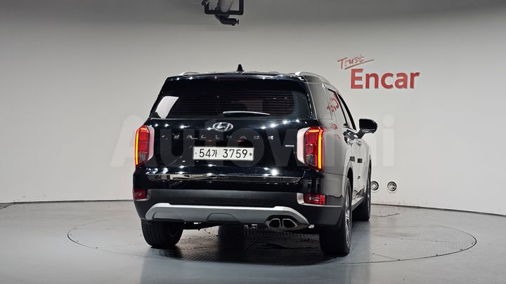 Hyundai Palisade 2019 — 4