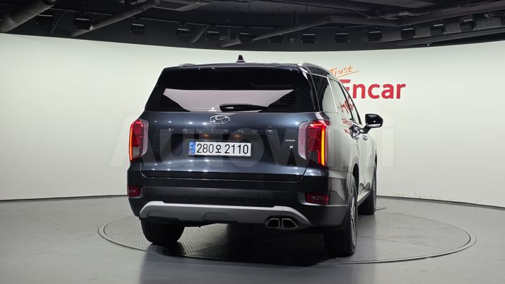 Hyundai Palisade 2019 — 4