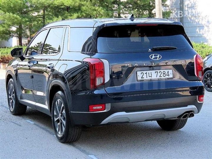 Hyundai Palisade 2019 — 3