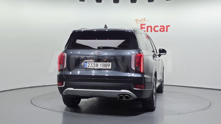 Hyundai Palisade 2019 — 4
