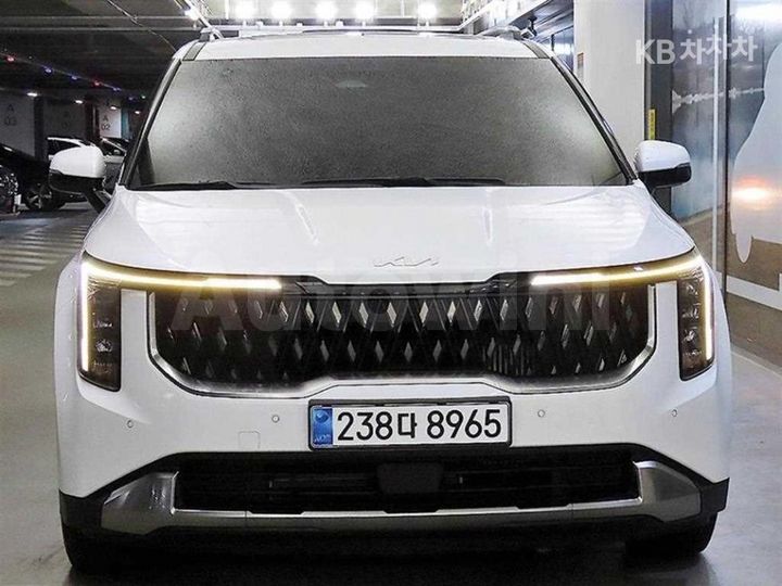 Kia Carnival 2024 KNANC81ABRS006084 — 2