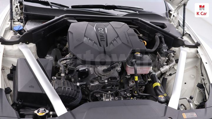 Kia Stinger 2021 KNAE351DDMS104133 — 3