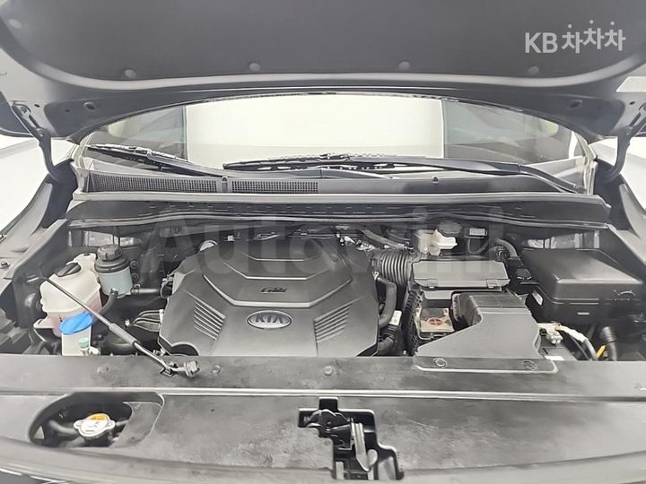 Kia Carnival 2019 KNAME811BKS597698 — 5