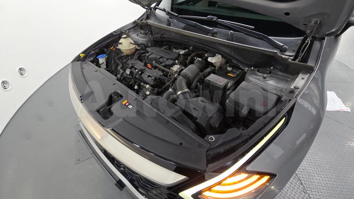 Kia Sportage 2022 — 5