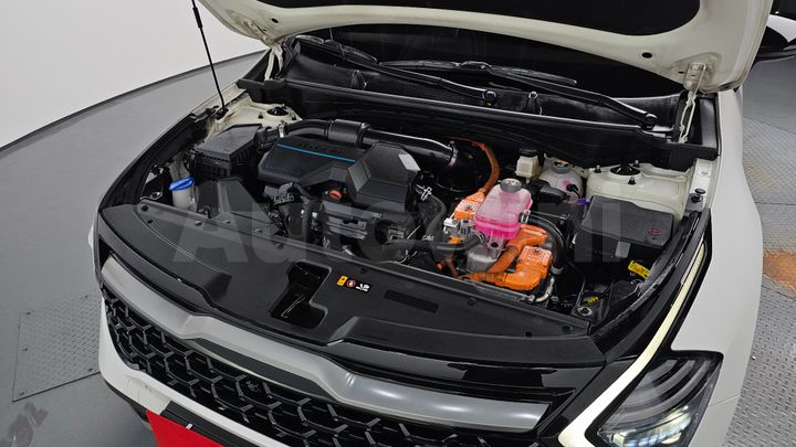Kia Sportage 2022 — 5