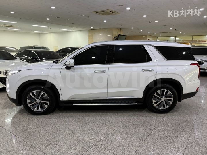 Hyundai Palisade 2019 — 3