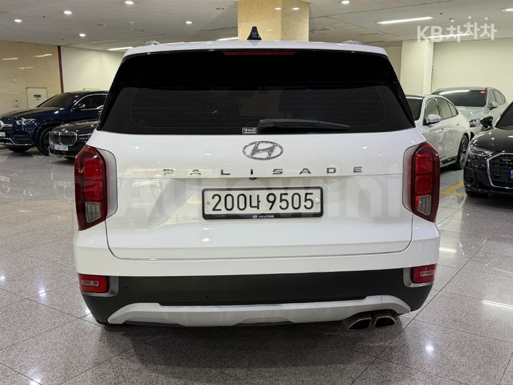 Hyundai Palisade 2019 — 4