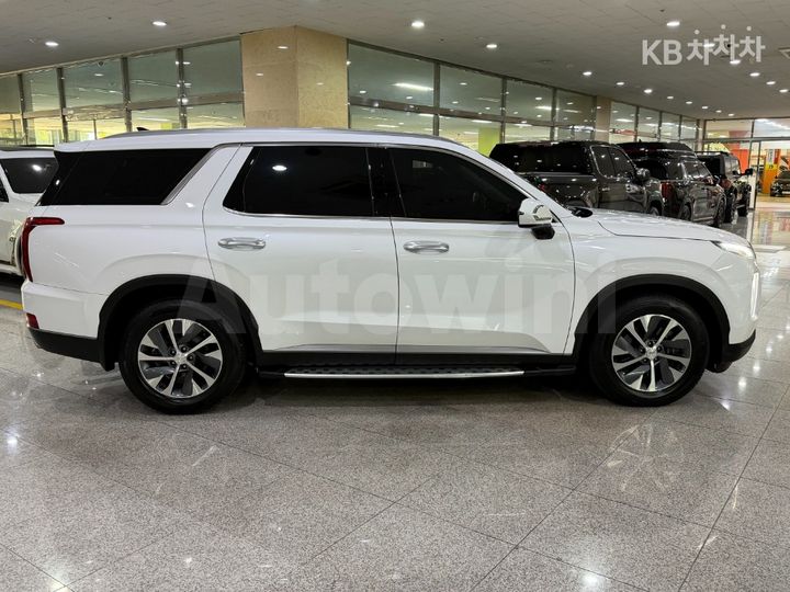 Hyundai Palisade 2019 — 5