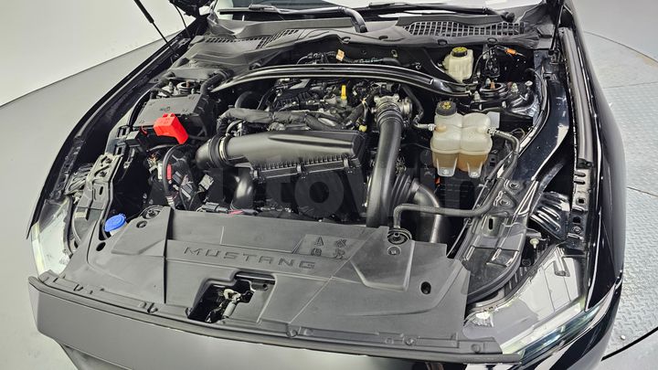 Ford Mustang 2024 — 5