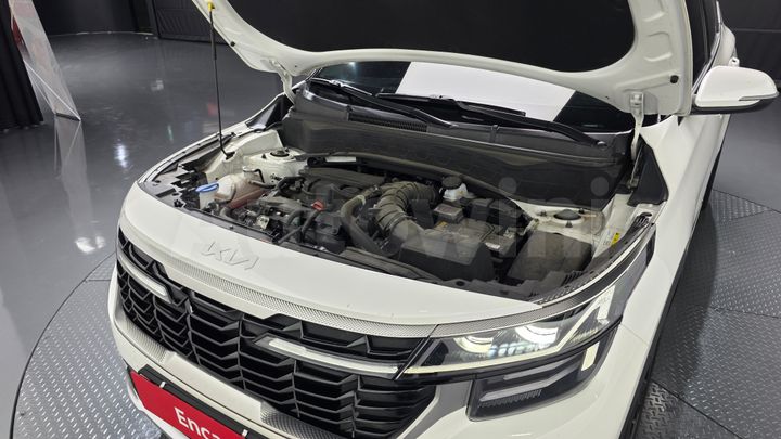 Kia Seltos 2024 — 5