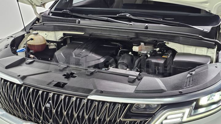Kia Carnival 2021 — 5