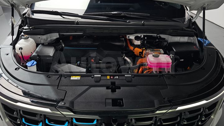 Kia Carnival 2025 — 5