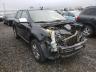2007 LINCOLN MKX