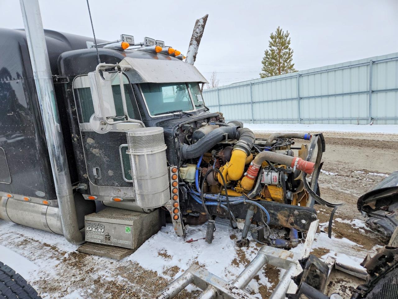 PETERBILT 379 2006 — 10