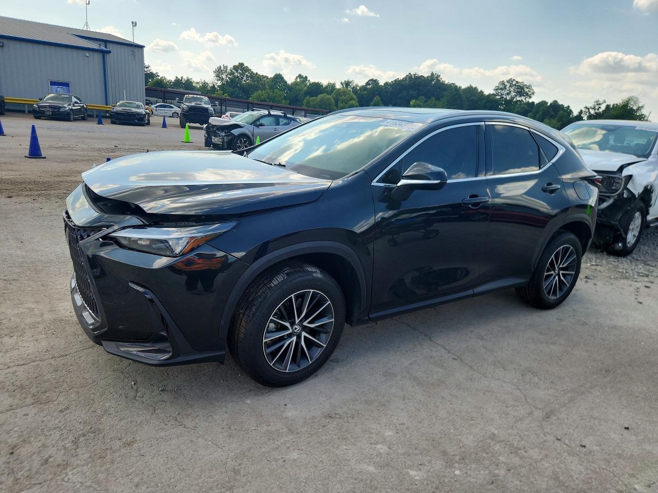 Lexus NX 2025 — 2
