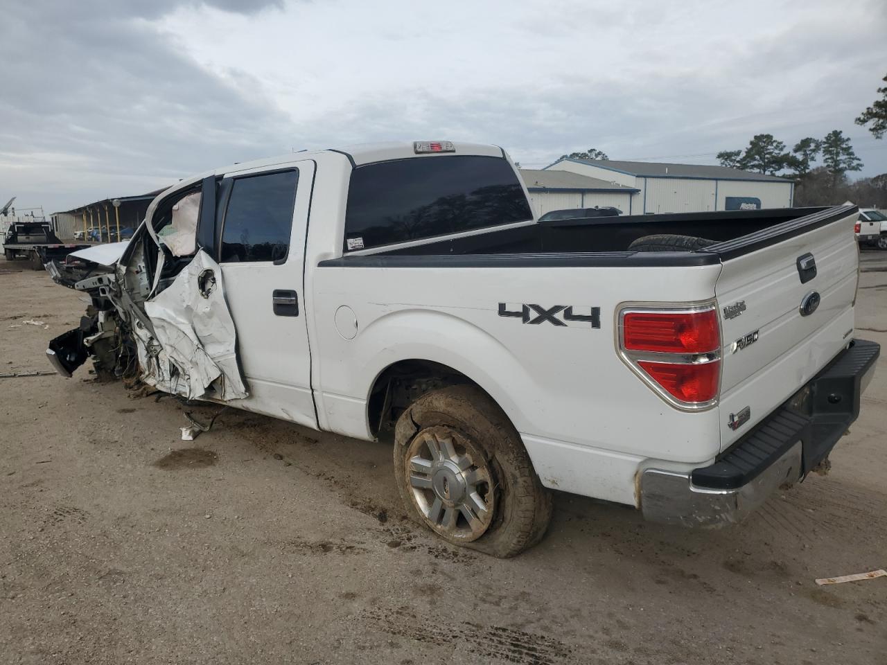 FORD F 150 2014 — 3