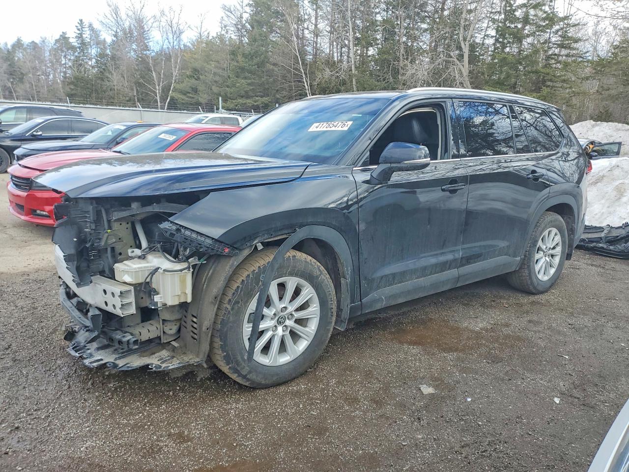 2024 TOYOTA GRAND HIGHLANDER XLE