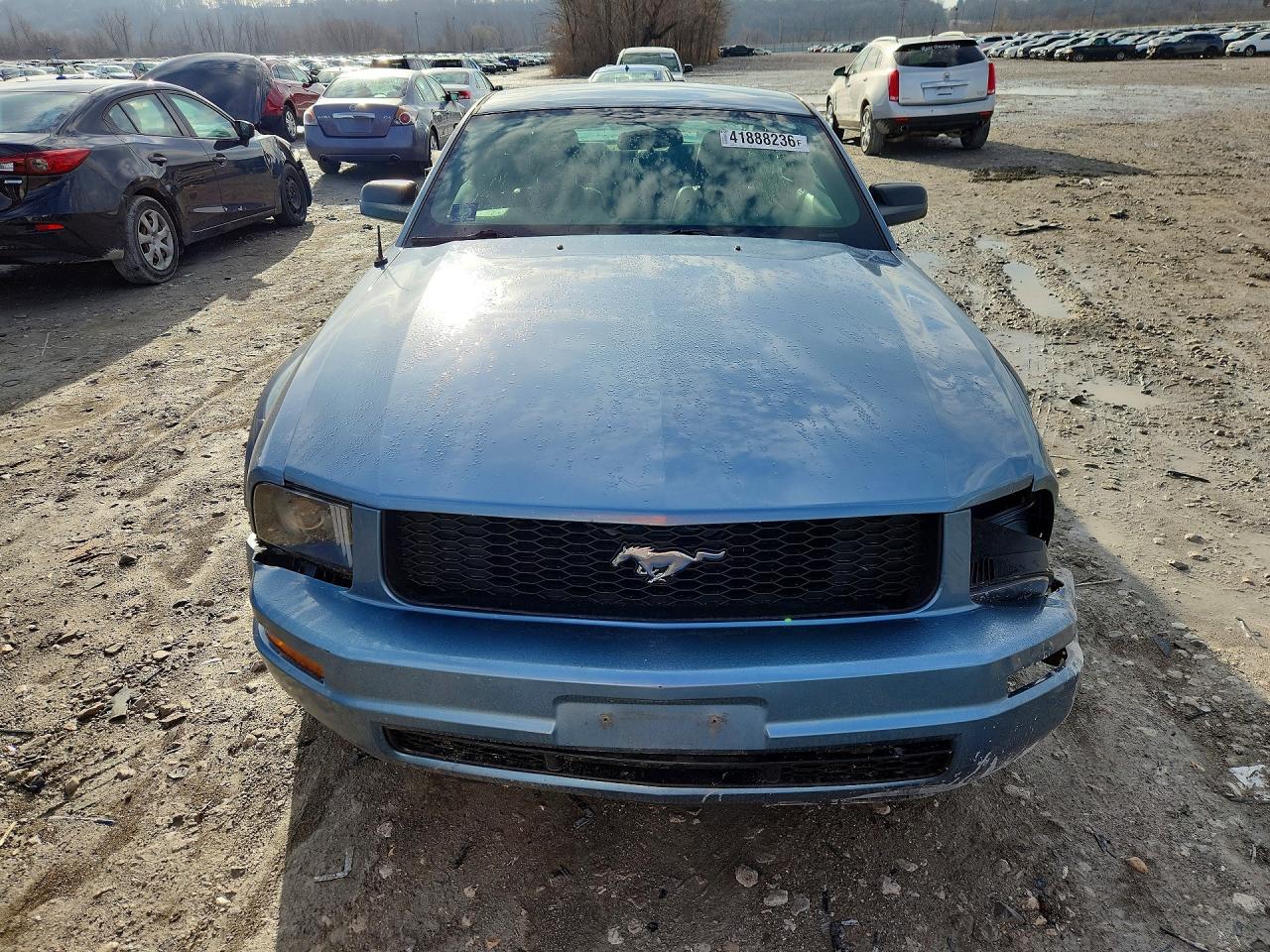 FORD MUSTANG 2005 — 6