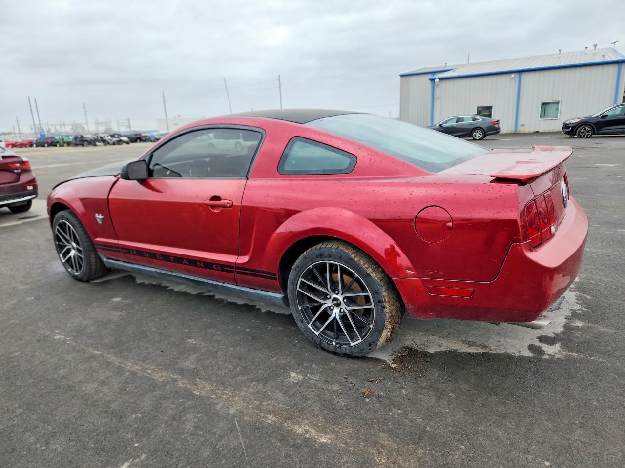 FORD MUSTANG 2009 — 3
