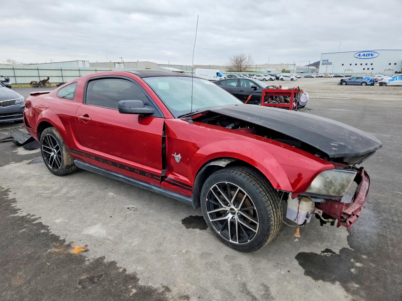 FORD MUSTANG 2009 — 5