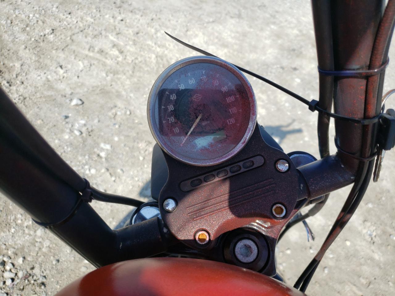 HARLEY-DAVIDSON XL883 2015 — 8