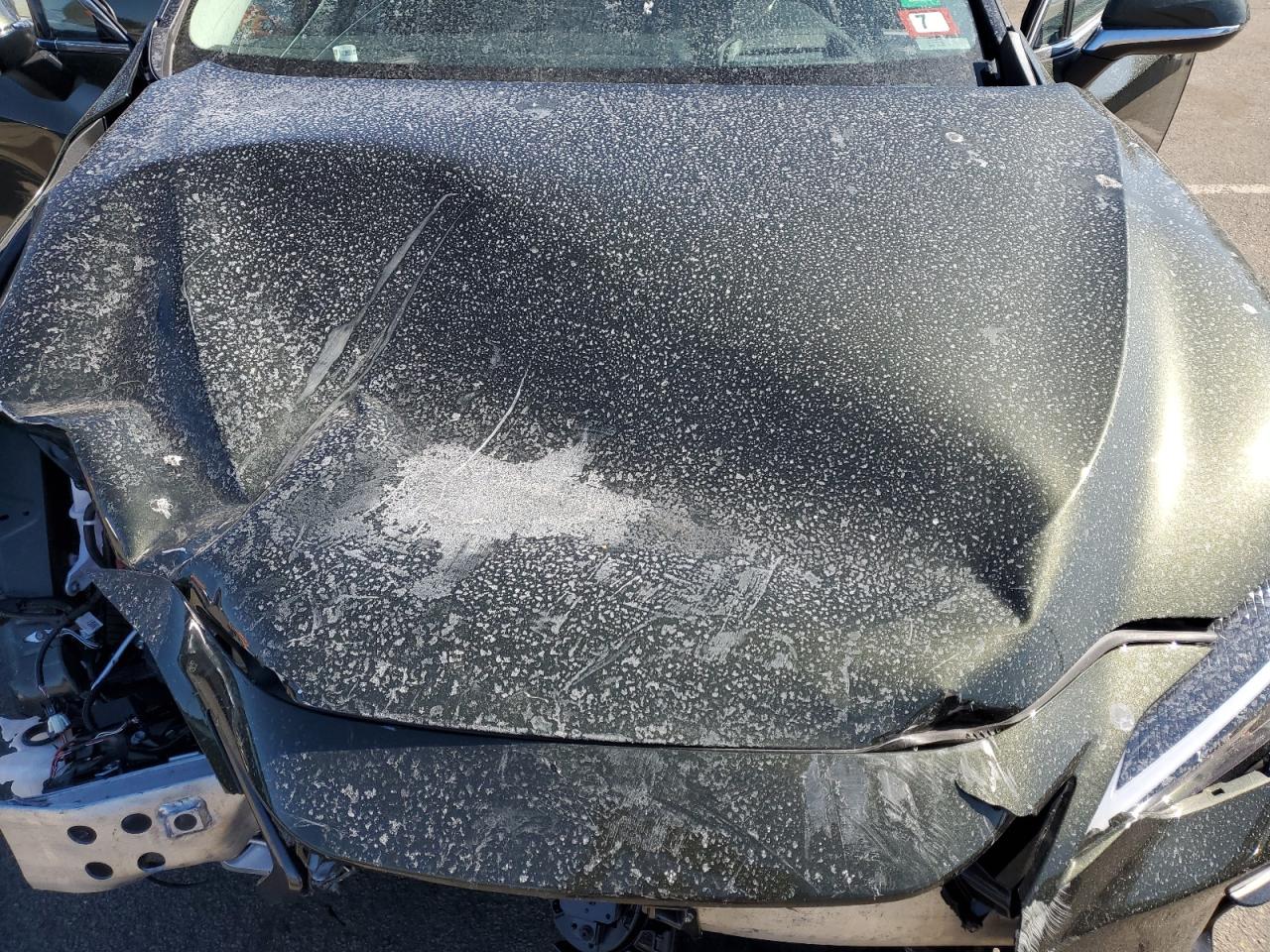 LEXUS NX 2024 — 13