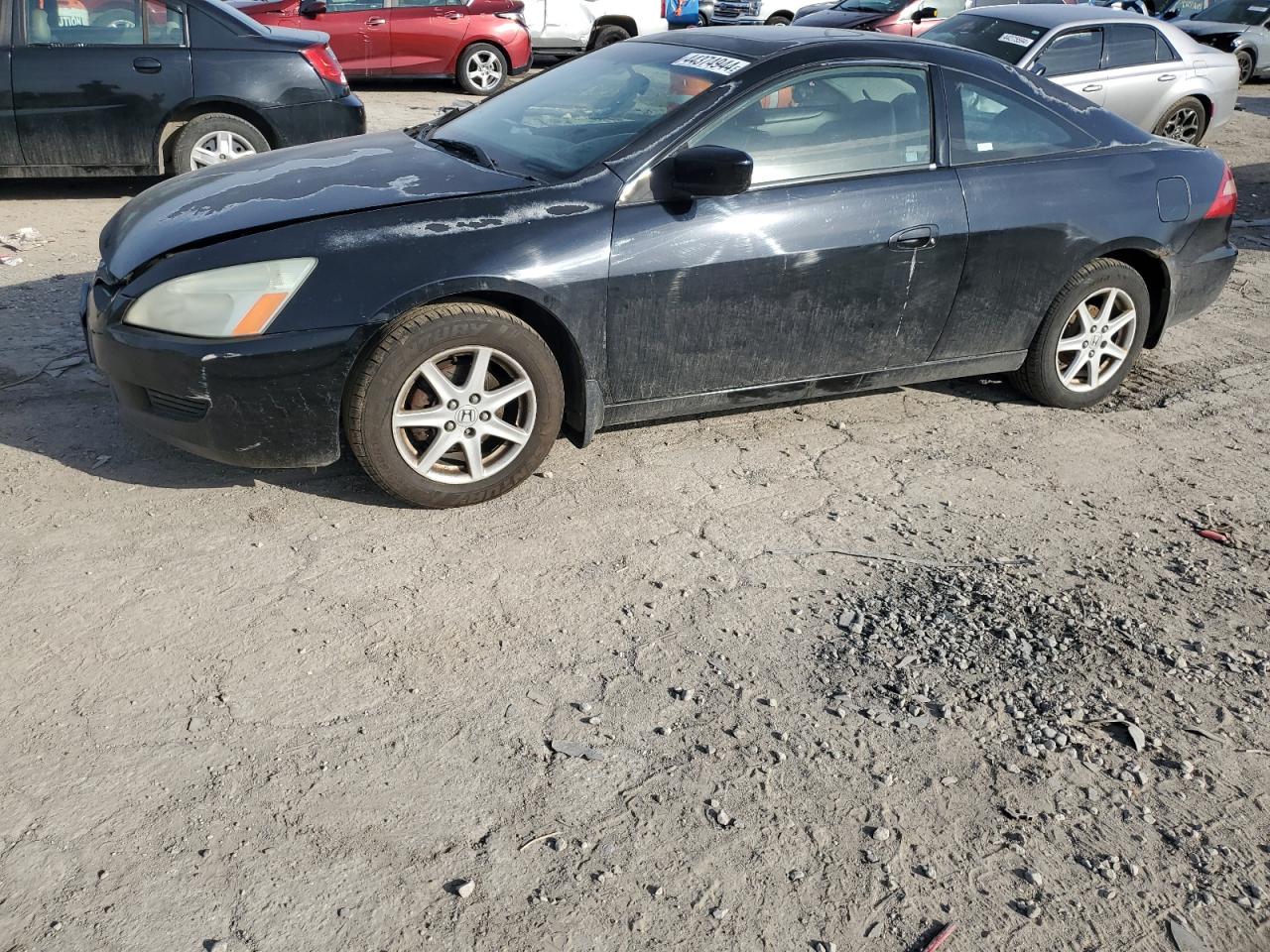 2003 HONDA HOND