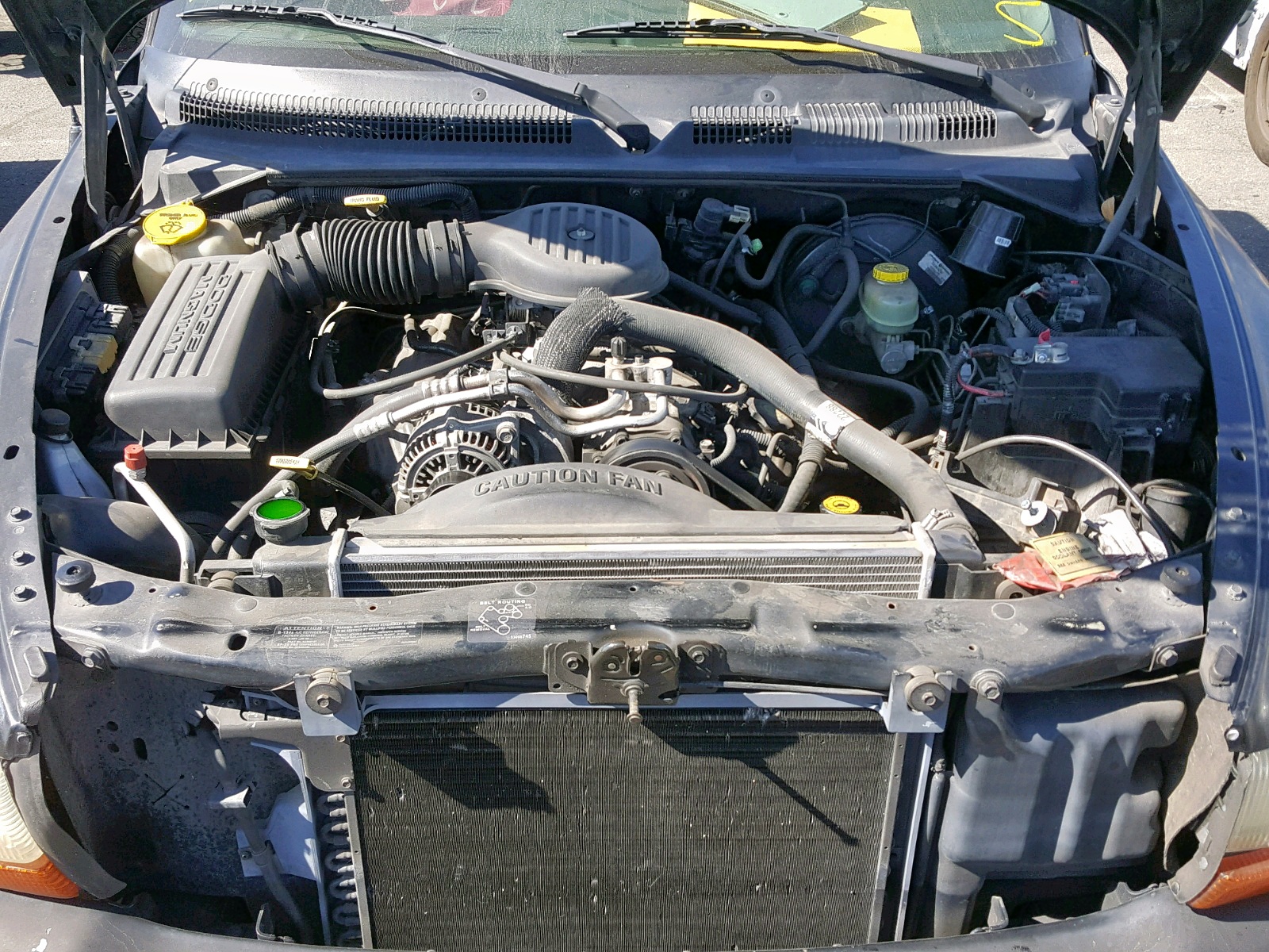 DODGE DAKOTA 1998 — 8