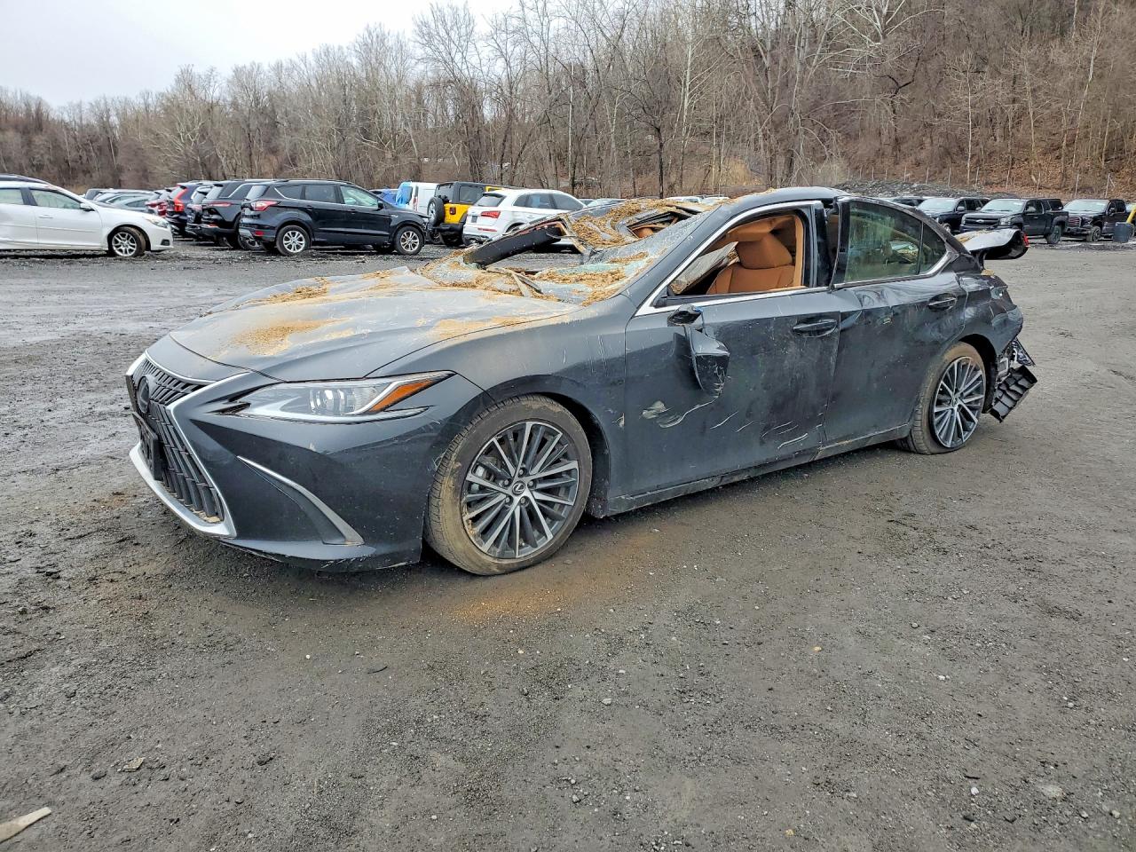 LEXUS ES 350 2024 — 2