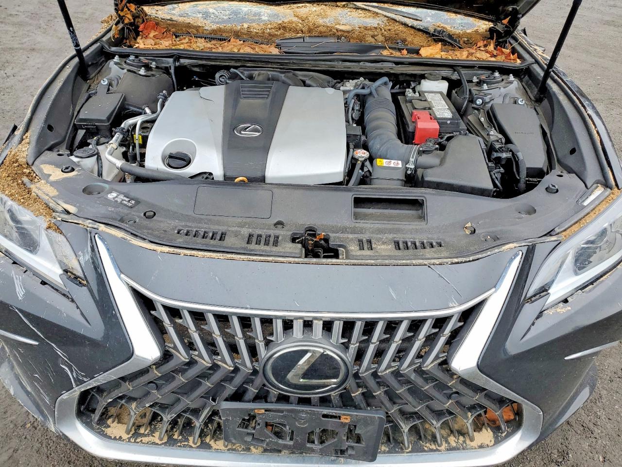 LEXUS ES 350 2024 — 12