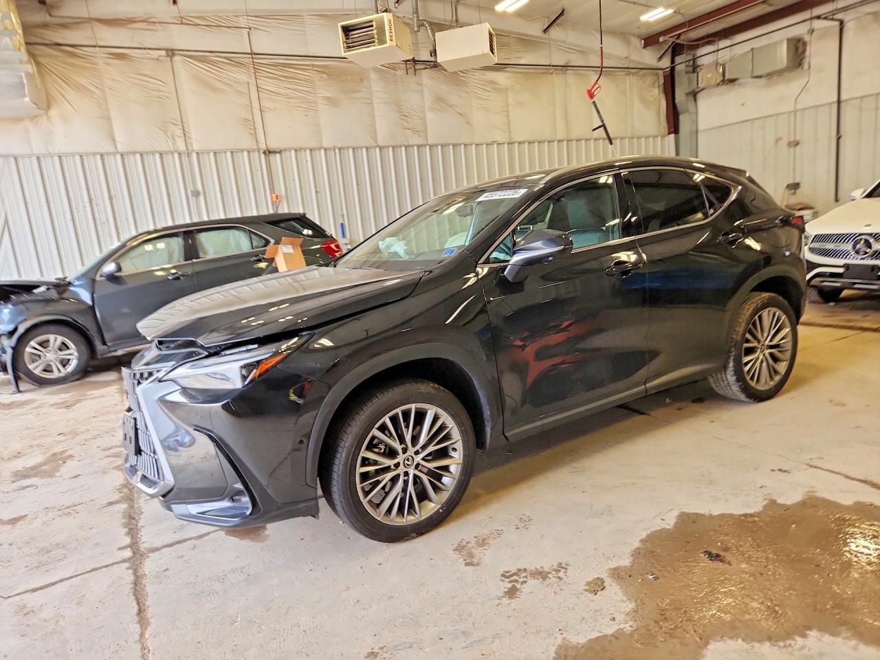 2024 LEXUS NX 350H LUXURY
