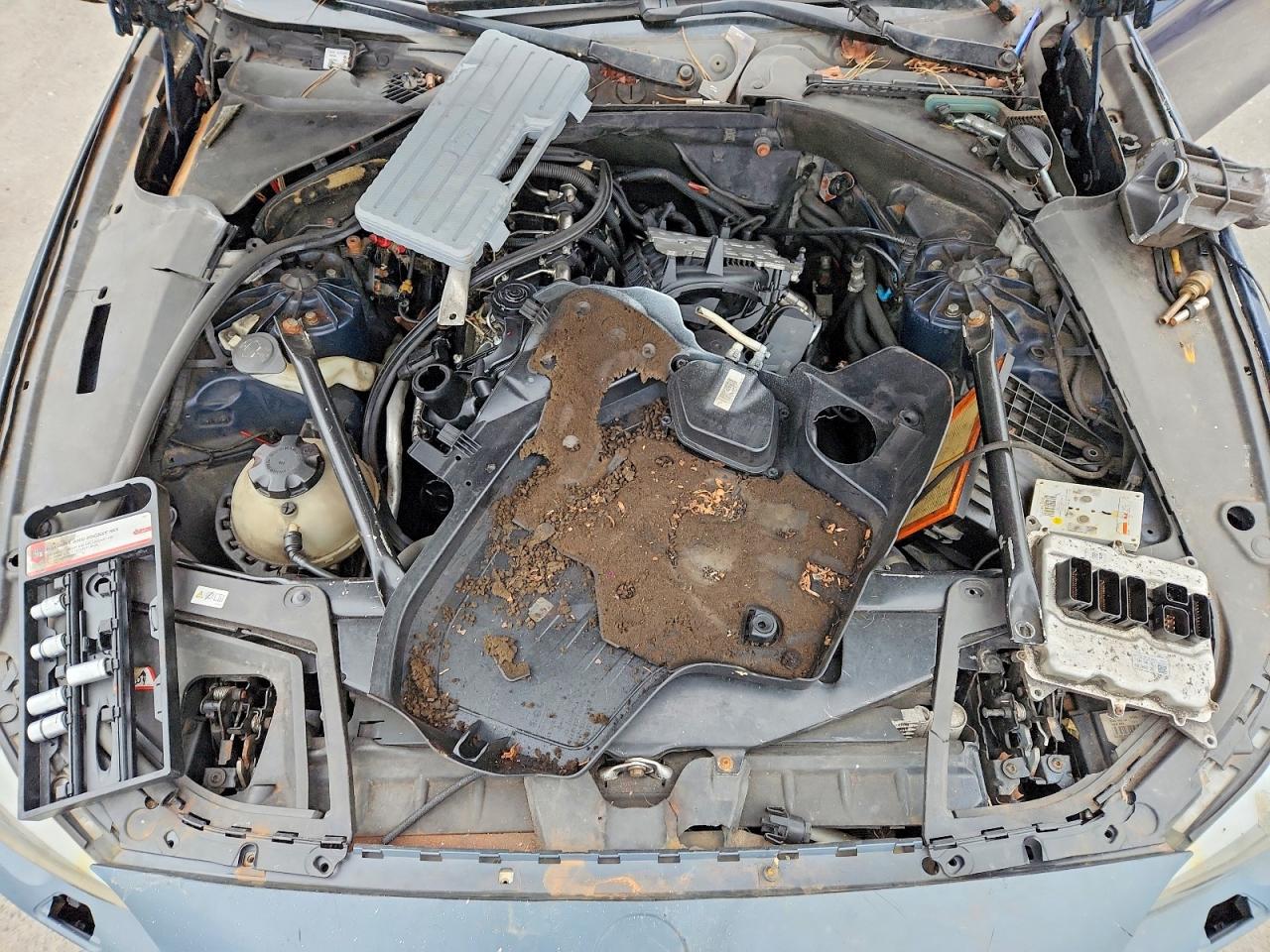 BMW 5 SERIES 2013 — 12