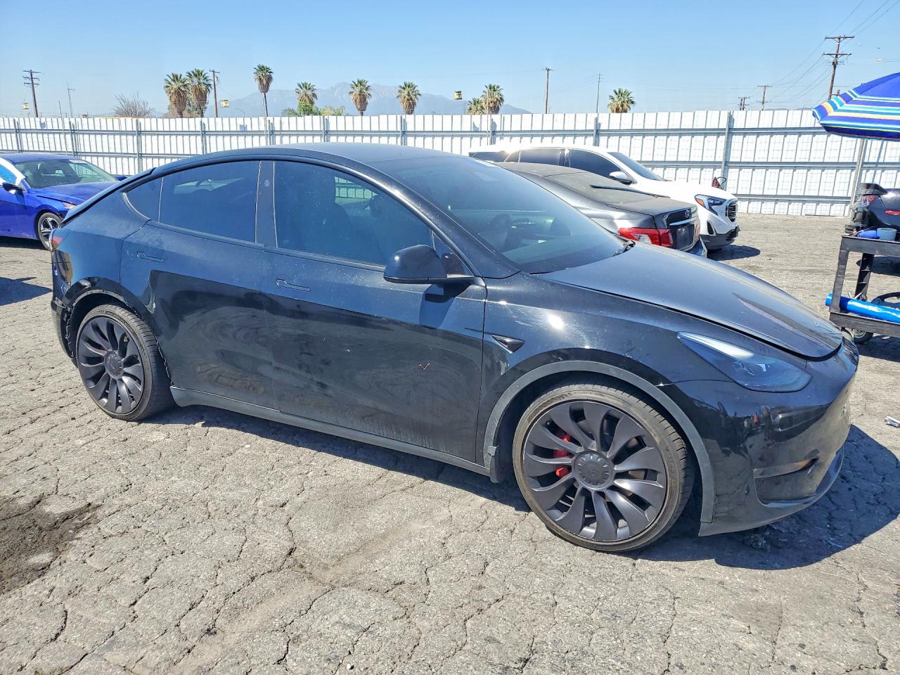 2023 TESLA MODEL Y