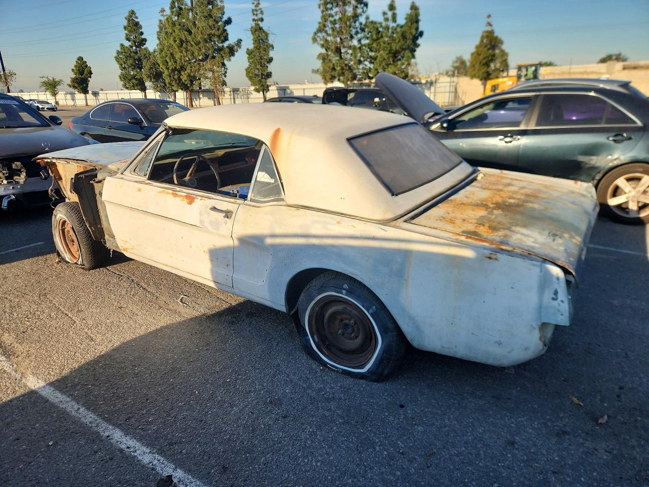 FORD MUSTANG 1965 — 3