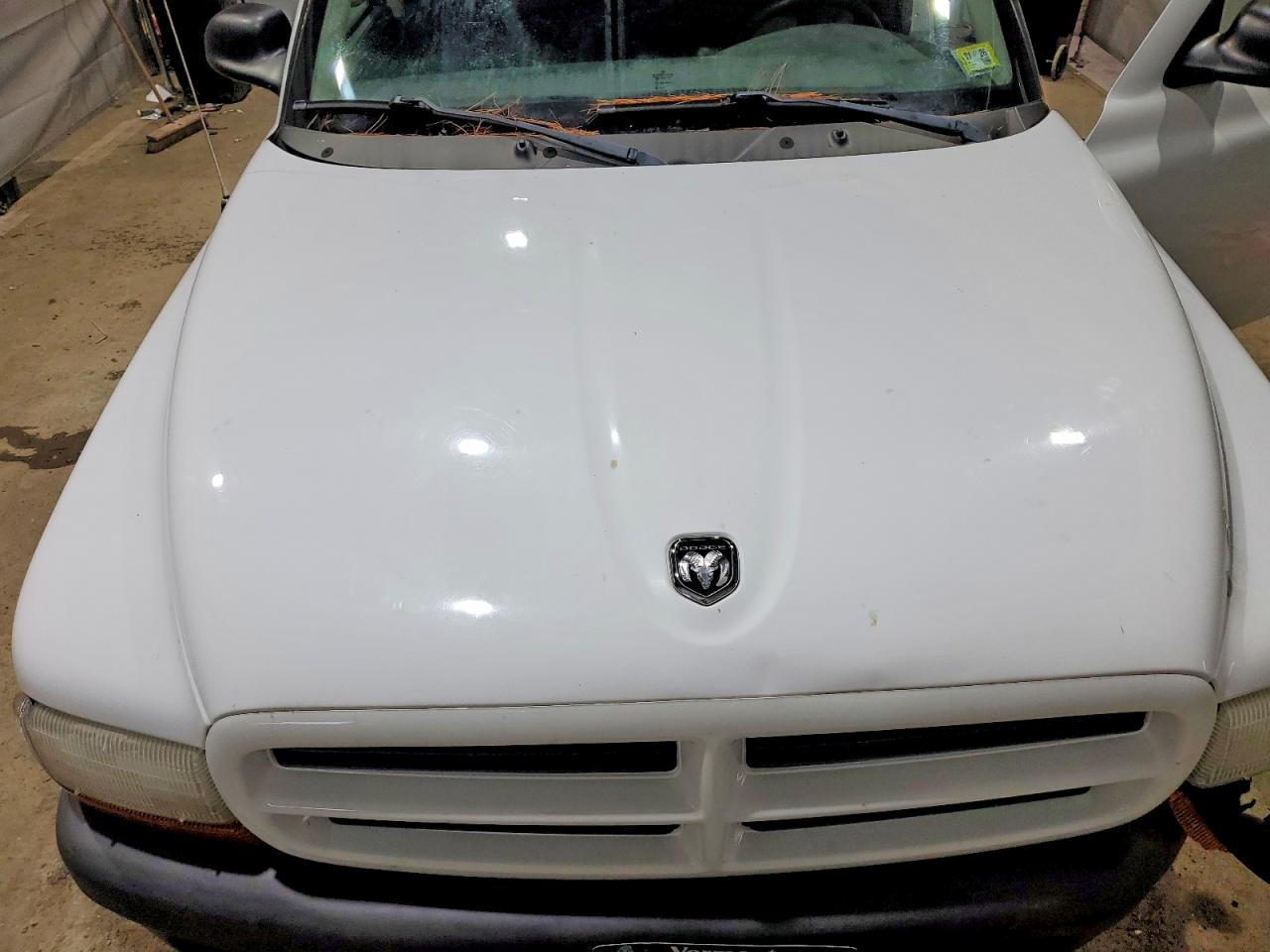 DODGE DAKOTA 2003 — 12