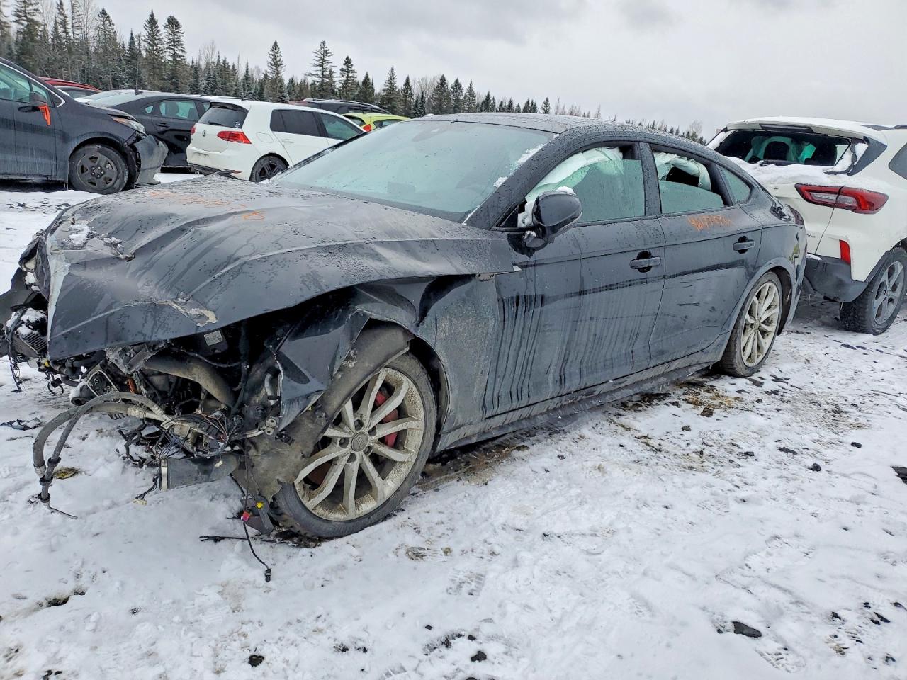 AUDI S5 2019 — 2