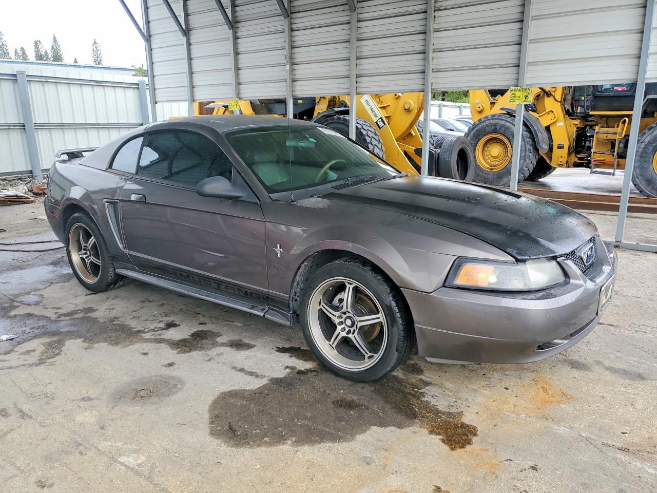FORD MUSTANG 2003 — 5