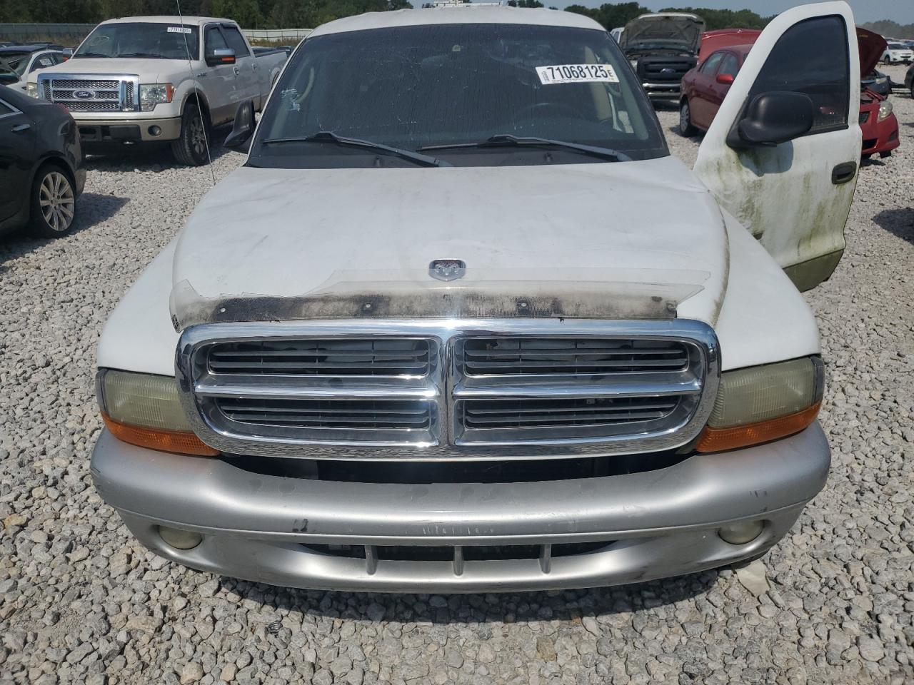 DODGE DAKOTA 2002 — 12