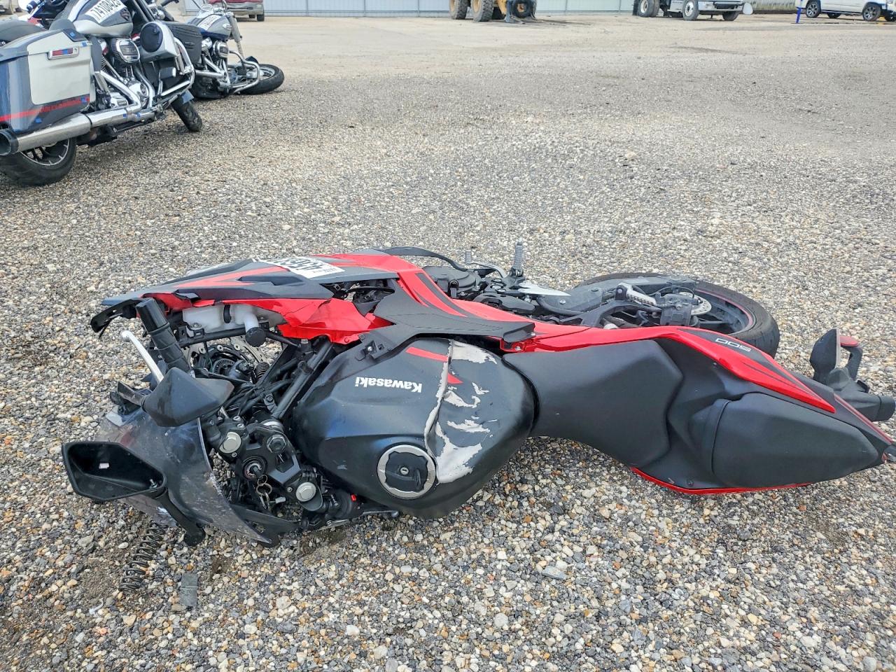 KAWASAKI EX500 2025 — 4