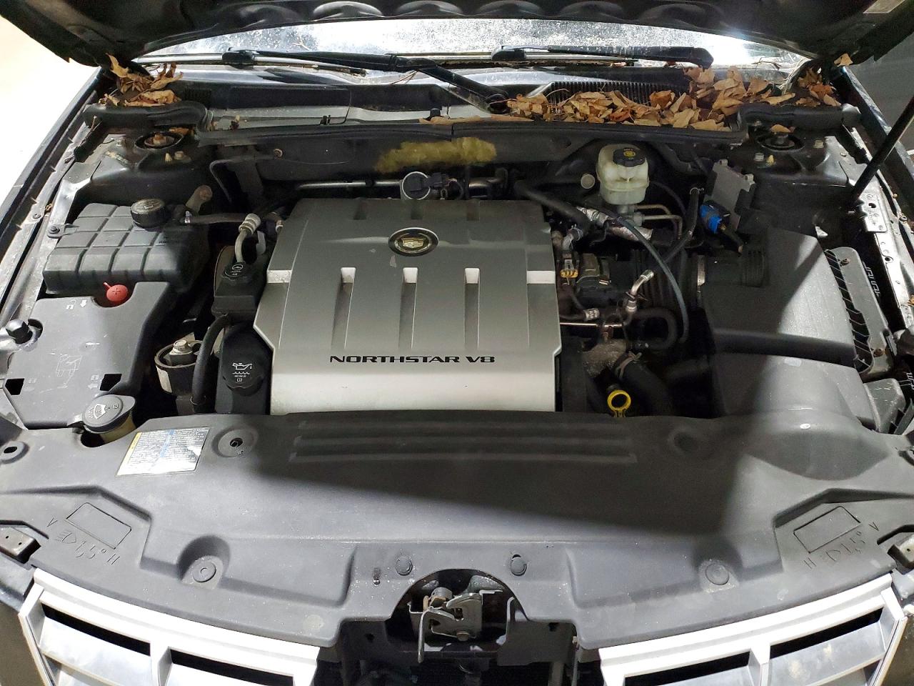CADI DTS 2006 — 12