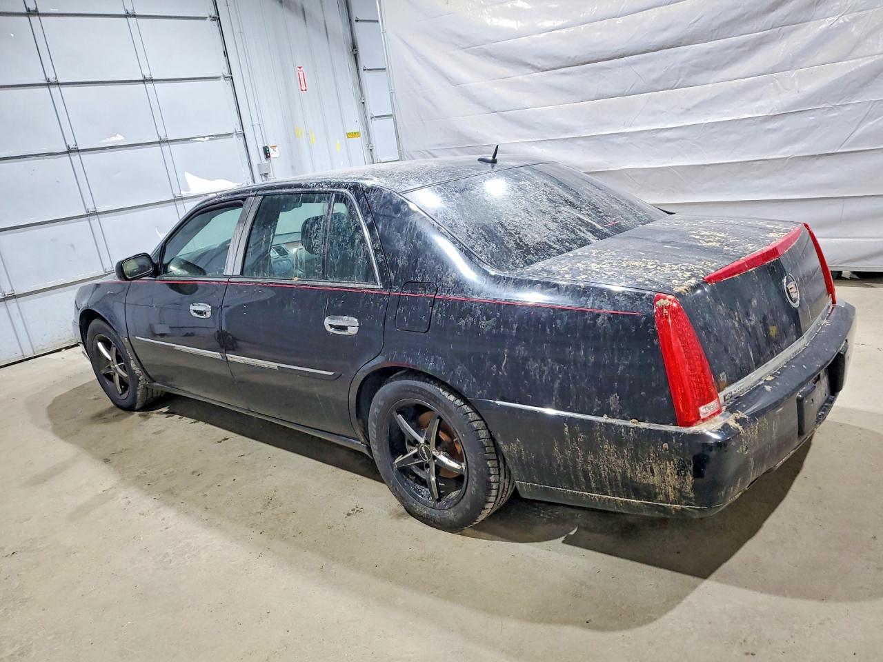 CADI DTS 2006 — 3