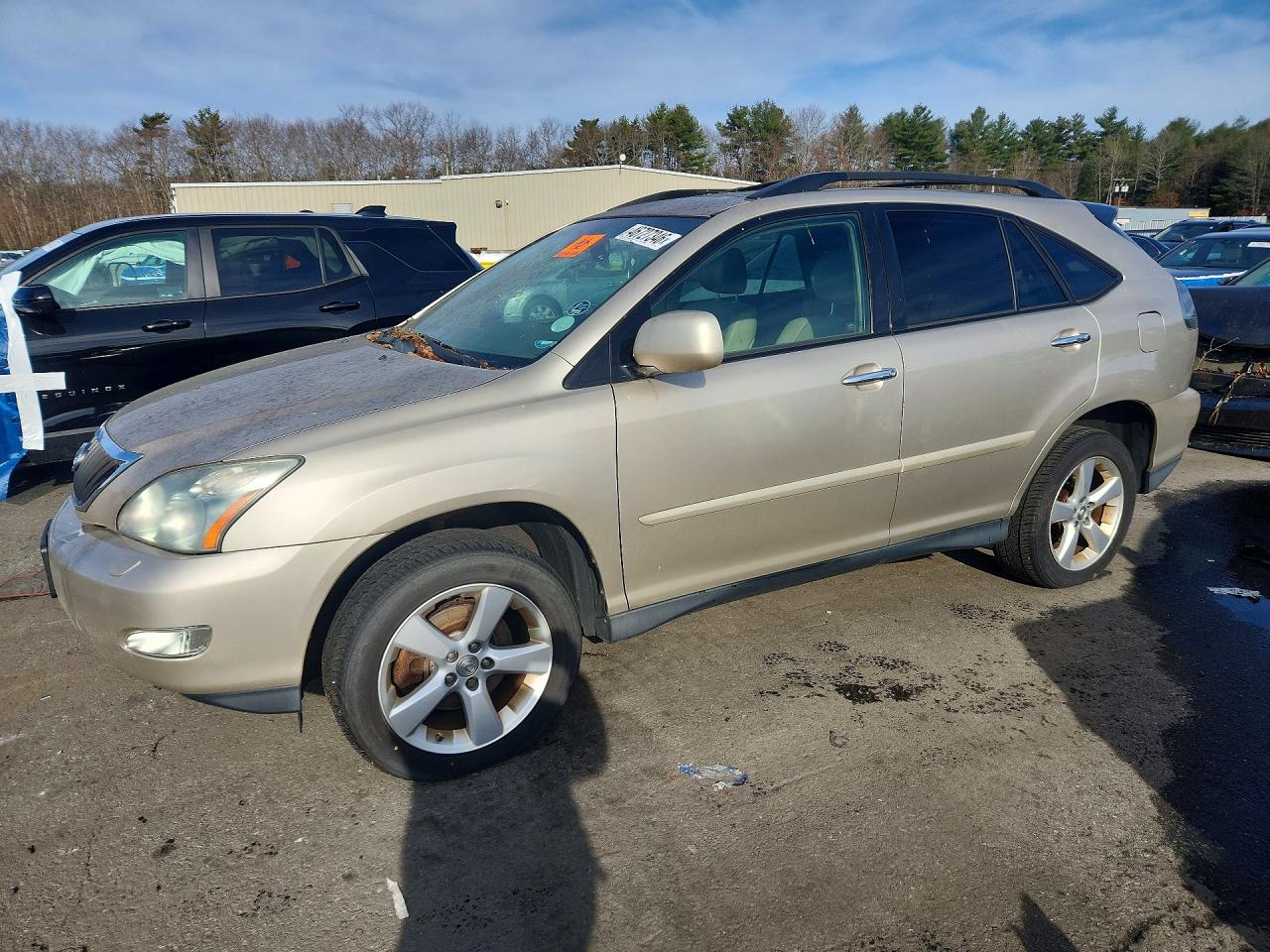 2008 LEXS RX 350