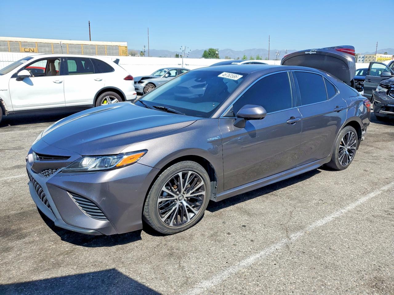 2019 TOYOTA CAMRY HYBRID SE