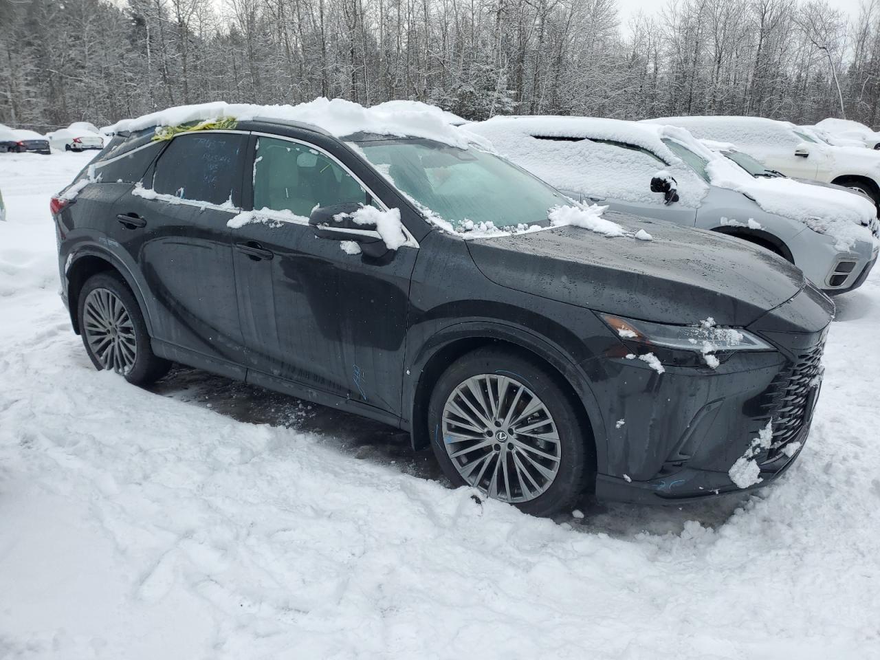 2024 LEXUS RX 350 BASE 350 BASE